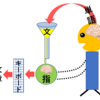 自分の脳の仕組みがわかった