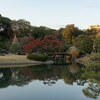 六義園の紅葉