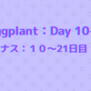 ナスの成長記録：10～21日目