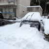 雪。じわじわと効いてくる(´;ω;｀)