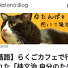 【検証？】お前ら俺のブログいつ読んでるの