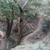 分岐道の山～日立高鈴ゴルフ場(日立の裏山2)
