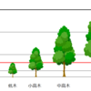 「低木」と「高木」の違いは？～分かりにくい木の種類・分類まとめ