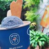 *【Gelato Italia】バタフライピーの青いジェラート*