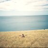 1st Phase - Australia 04