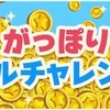 どうぶつの森 ポケットキャンプ🍀がっぽりベルチャレンジ