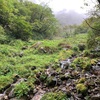 登ってみたシリーズ　夜叉ヶ池山編