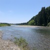 大芦川で小物釣り　一足先に夏遊びです