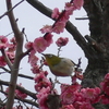 水月公園