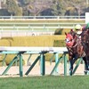 2.12(日)　競馬　京都記念とか