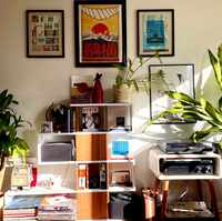 Green House Interior