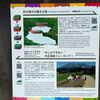桜島の溶岩なぎさ公園足湯（鹿児島市）はとてもオススメ！