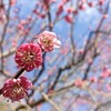 満潮を引き寄せる。