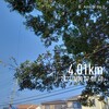 朝🌄ラン🏃　4km