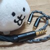 インプレ：NICEHCK MeetEVA  音場が広く定位感が良く低域がパワフルなケーブル　#PR NICEHCK