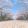 今日で令和4年度3月もラストですね。次年度は先に延ばさずに踏み出しましょうか。
