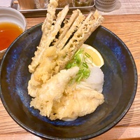筑後うどん まがり（新大塚）冷鶏ごぼう天うどん