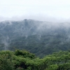 土岳　頂上よりの霧風景