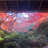 嵐山 常寂光寺＆大河内庭園に紅葉を観に行ってきた！