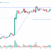 2024.2.6（+0.4万）