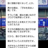 インフルBで全ての活動停止中…と、ごーまじのおぷちゃで泣いた話