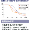 リンゴ幹細胞エキスが40代からのハリをアップ！