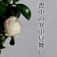 ここがポイント お悔やみの手紙 書き方の基本マナーと文例 はじめてでもわかる 葬儀 香典返し完全ガイド