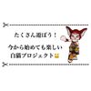 今から始めても白猫プロジェクトは楽しい🐱 やろうよ白猫！！