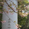 まんぼぅくん、上野公園、五條天神社　その1