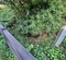 大多羅法師井戸（東京都武蔵村山）