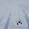 雪とさつまいもとマッチョ
