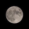 「中秋の名月」の撮影　2021年9月21日(機材：コ･ボーグ36ED、スリムフラットナー1.1×DG、E-PL5、ポラリエ)