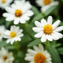不器用パパの、せいいっぱい子育てblog