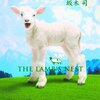 若者たちの「迷い」から生まれる日常の「謎」、坂木司『仔羊の巣』の紹介