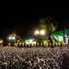 盛り上がってるフェスに見えたでしょう。綿の収穫です。