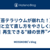 【苔テラリウムが崩れた！】原因と立て直し方をやさしく解説｜再生できる“緑の世界”へ