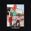 Do Hollywood/The Lemon Twigs（2016）今日のTSUTAYA DISCAS日記。#375