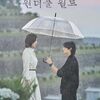 韓国ドラマ『ワンダフルワールド』(2024)全14話 感想