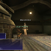 【FF11】今はただ見てるだけ【101日目】