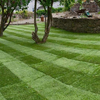 5 Greatest Explanations to Pick out Synthetic Grass for Your Garden