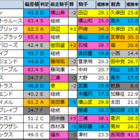 偏差値予想表 中山 中京 21年9月19日 日 馬券生活 競馬で生きていく