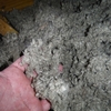 Loose Fill Asbestos Insulation