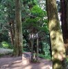 朝６時から山登りして