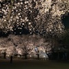 夜桜を撮影してｉｐｈｏｎｅのカメラの優秀さを再確認しました。