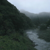 “雨・。あめ・。・雨”…ワン・ツー・スリー・・・♪