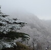 雨上がりのつらつら山　白い朝の事