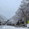 春の雪お伽の国か高尾山