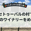 リスボンからセトゥーバルへ｜ポルトガルのおすすめワイナリー体験記
