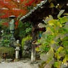 秋の善峯寺　ぱぁ〜と　５