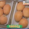 初夏の味覚「天草ビワ」の出荷最盛期　【熊本】